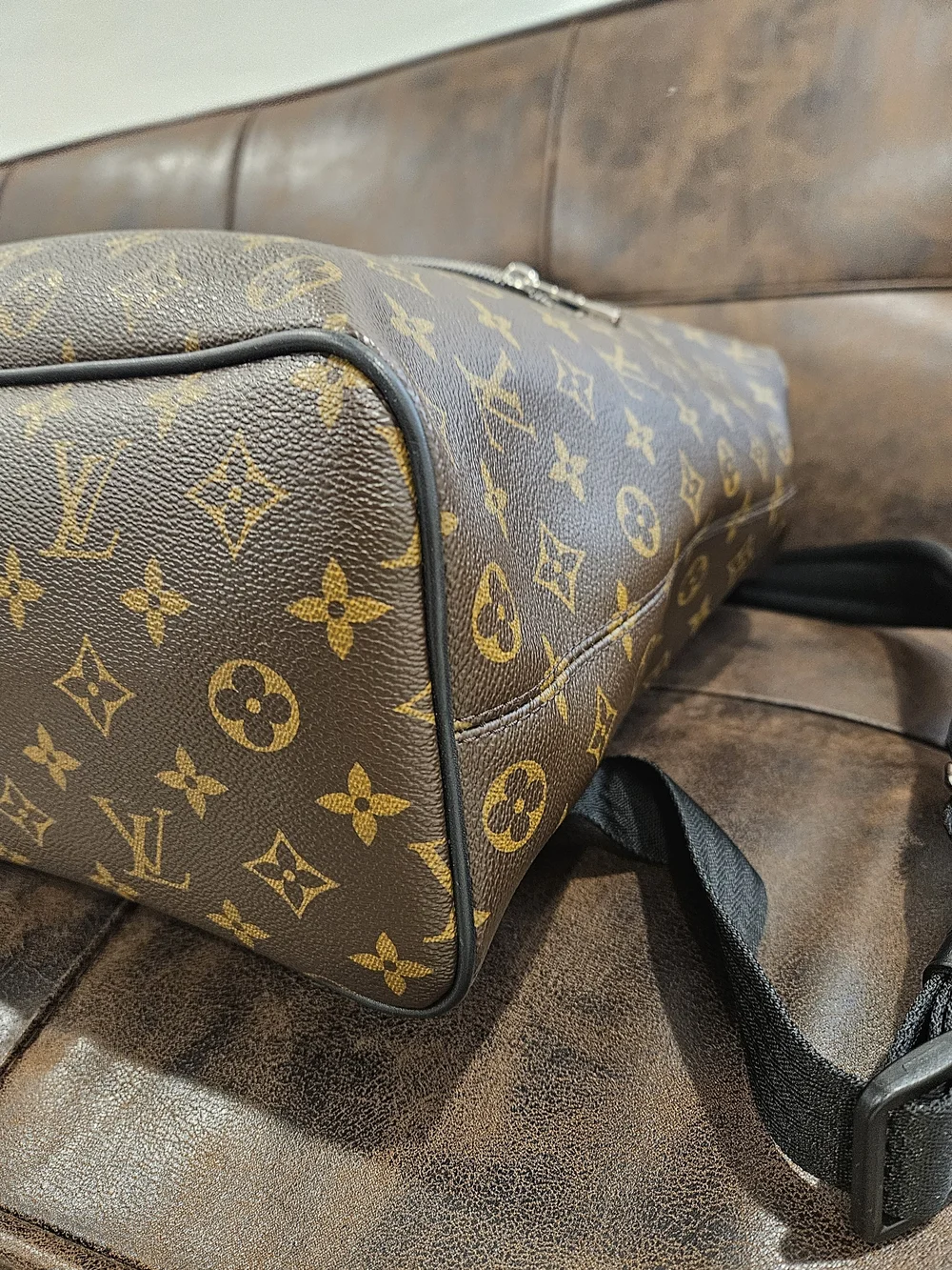LOUIS VUITTON MONOGRAM MACASSAR PALK BACK